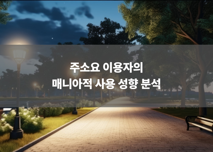 주소요 이용자의 매니아적 사용 성향 분석