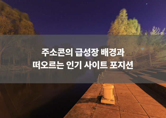 주소콘의 급성장 배경과 떠오르는 인기 사이트 포지션